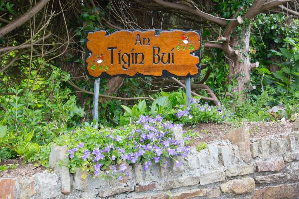 An Tigin Bui Villa Glanbannoo Upper Bagian luar foto